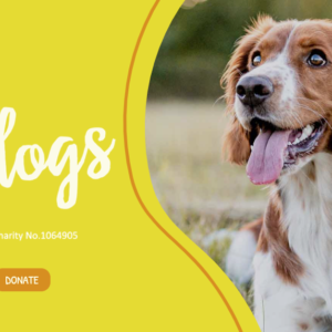 Just for Dogs, new Website Banner