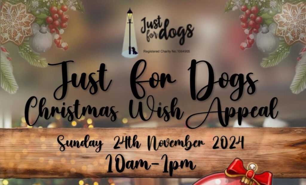 annual christmas open day poster