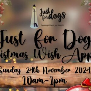 annual christmas open day poster